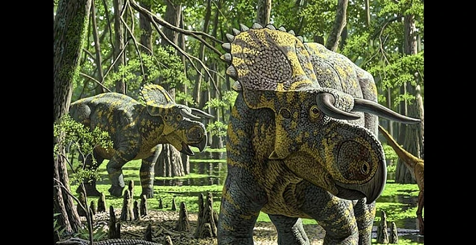 Un dinozaur neobişnuit a fost descoperit în America de Nord. „Nu am mai văzut niciodată aşa ceva”, spun paleontologii