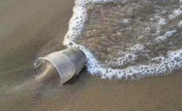 Un nou material, realizat prin fermentaţie, ar putea opri poluarea cu fibre de plastic a oceanelor