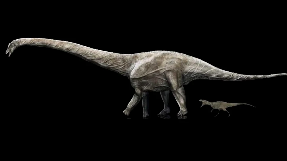 Cel mai lung dinozaur care a trăit vreodată, posibil identificat după ce au fost încurcate niște fosile