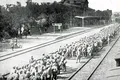 „Mormântul iluziilor germane”. Înfrângerile ruşinoase pe care nemţii le-au suferit în România în Primul Război Mondial