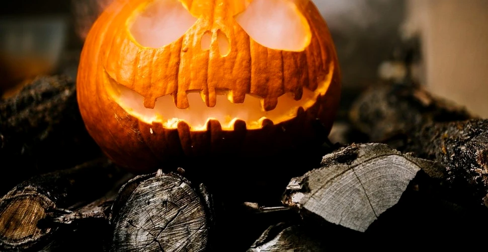 6  informații interesante despre dovleac, simbolul Halloween-ului
