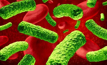 Descoperire uimitoare a cercetătorilor de la Harvard: bacteriile rezistente la antibiotice existau şi la începutul vieţii pe uscat