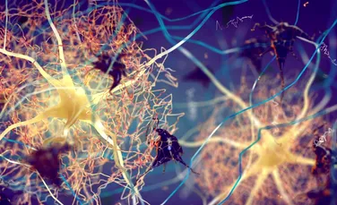 Cea mai promițătoare terapie împotriva bolii Alzheimer pare să nu funcționeze