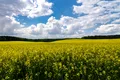 Vremea în luna mai: Meteorologii anunță temperaturi mai mari decât ar fi normal!