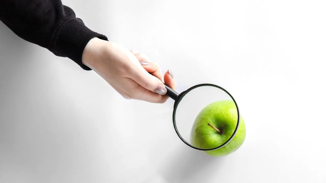 optimizarea SEO_descoperă 