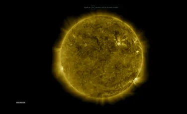 Originea câmpului magnetic al Soarelui ar fi fost în sfârșit descoperită