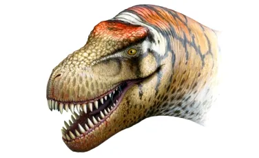A fost descoperit «vărul» gigant al lui Tyrannosaurus rex!