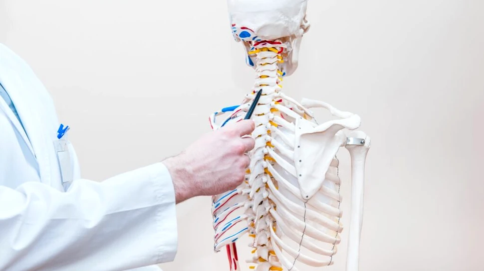 Mulți oameni încă mai cred acest mit biblic despre coaste