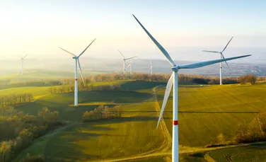 Motivul pentru care autoritățile suedeze anulează proiectele eoliene din Marea Baltică