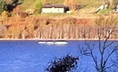 Noi aparitii ale Monstrului din Loch Ness