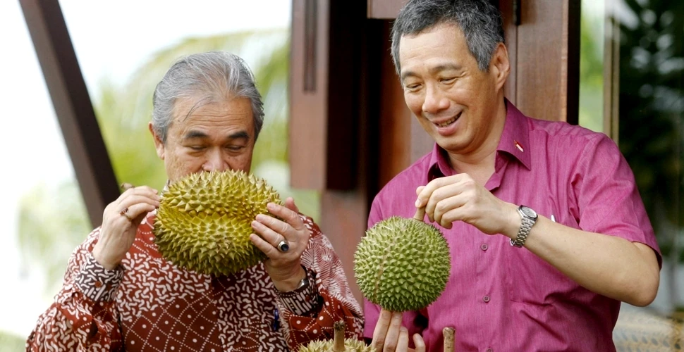 Cel mai urât mirositor fruct din lume: durianul! Oamenii de ştiinţă încearcă să-i afle „secretele chimice”