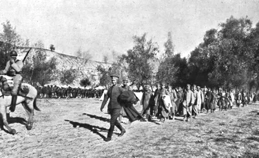 Scene hilare în campania Armatei Române din Bulgaria, din 1913: „ Dacă n-aș fi văzut, n-aș fi crezut”