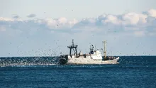Mai multe ONG-uri atrag atenția cu privire la exploatarea gazelor din Marea Neagră