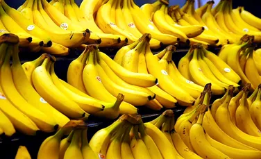 Descifrarea ADN-ului bananelor poate duce la salvarea acestora