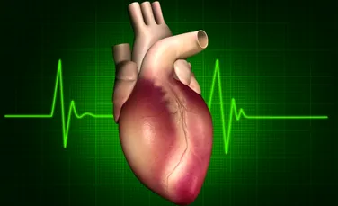 Genele pot „repara” cicatricele inimii