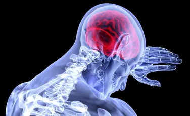 „Androginia” creierului este surprinzător de comună și ar putea îmbunătăți sănătatea mintală