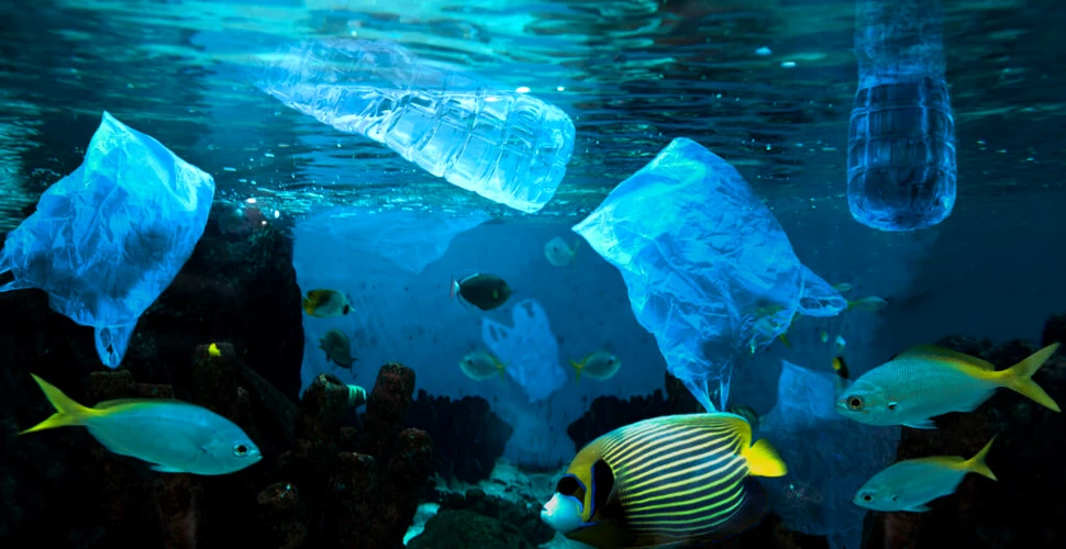 Fundul oceanelor este „un rezervor” de plastic, arată un studiu în premieră