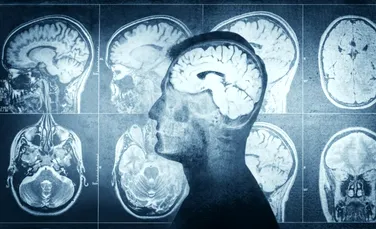 Psihedelicele și anestezicele provoacă reacții chimice neașteptate în creier