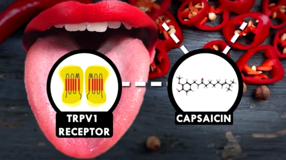 De ce nu este bine să bei apă după ce ai mâncat picant? Ce lichid ar trebui să consumi – VIDEO