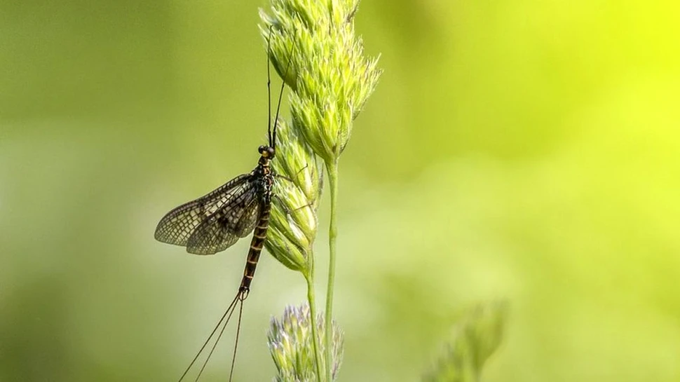 Germania interzice parțial iluminatul nocturn