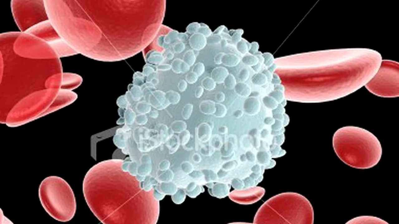 1-celule 