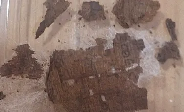 Fragment din Iliada lui Homer, găsit în interiorul unei mumii din epoca romană