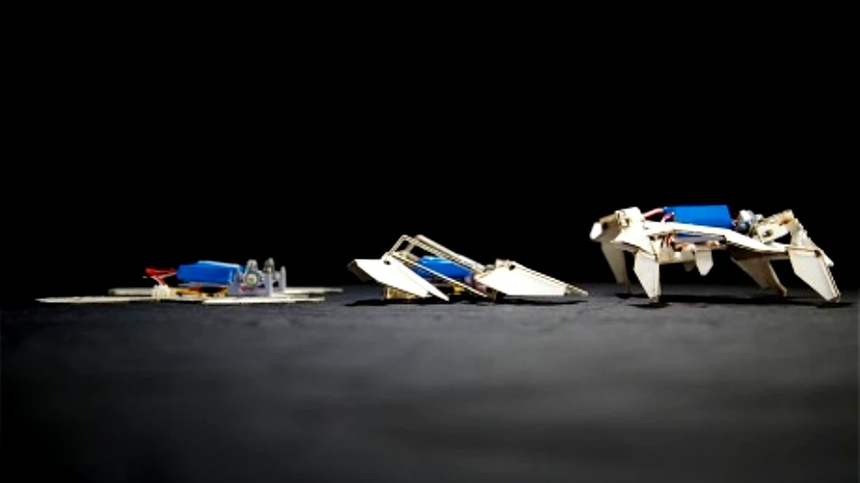 O cercetătoare de origine română, printre inventatorii unei noi tehnologii în robotică. Ce lucru uimitor pot face aceşti roboţi? (VIDEO)