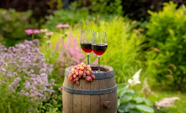 Vinul românesc, apreciat la nivel internațional, dar fară o strategie coerentă pe plan național