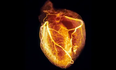 Inima umana isi poate regenera celulele