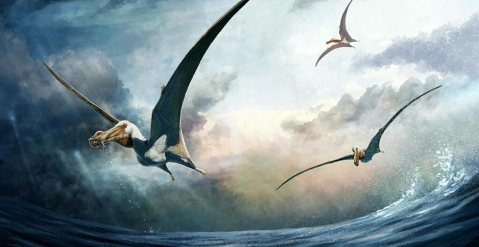 O specie nouă de pterozaur, identificată după oase de acum 100 de milioane de ani