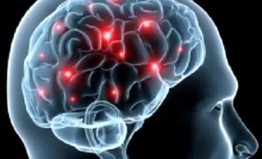 Cel mai detaliat ”atlas” al creierului poate revoluţiona neuroştiinţa