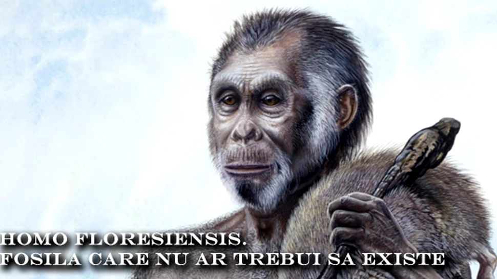Homo floresiensis – fosila care nu ar trebui sa existe
