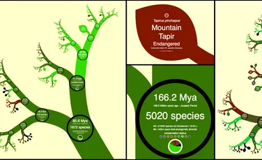 Un nou site ne dezvăluie Arborele Vieţii aşa cum nu l-am mai văzut niciodată (VIDEO)