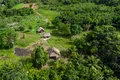 Sute de kilometri de drumuri antice, vechi de 2.700 de ani, au fost descoperite în Amazon