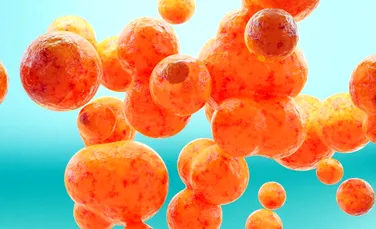 O moleculă capabilă să ucidă celulele canceroase, sintetizată artificial pentru prima dată