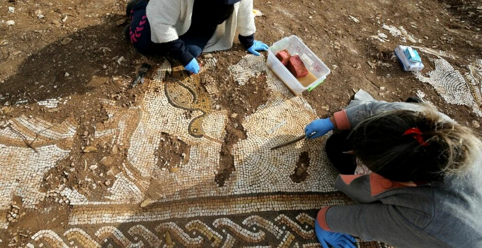 Un mozaic cu creaturi marine a fost excavat în Turcia
