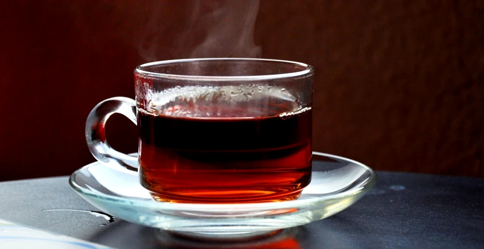 Ceaiuri pentru detoxifierea organismului: sunătoare şi păpădie