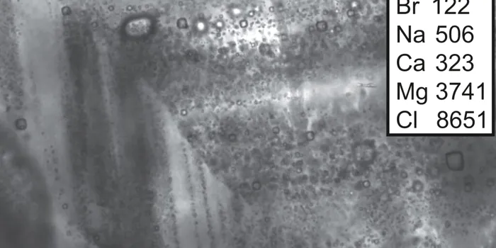 Ce s-a întâmplat atunci când cercetătorii au spart o rocă veche de peste 800 de milioane de ani?