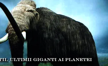 Mamutii – ultimii giganti ai planetei