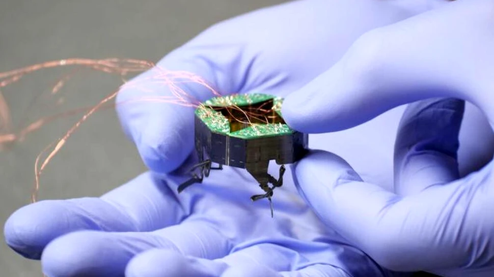 Un robot minuscul care își schimbă forma se poate strecura prin cele mai înguste spații