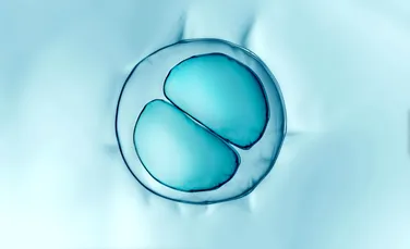 Apneea în somn ar putea fi tratată prin injecții cu celule stem