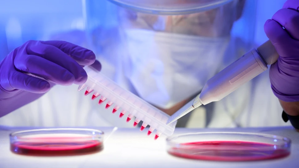Unii donatori de sânge sunt purtători ai virusului hepatitei E, care provoacă o boală a ficatului
