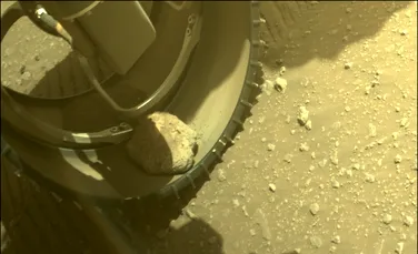 O rocă a rămas blocată în una dintre roțile roverului Perseverance, trimis de NASA pe Marte