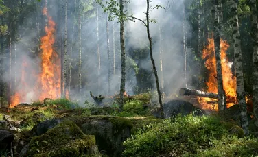 Inteligenţa artificială și dronele vor ajuta la stingerea rapidă a incendiilor de vegetație din Australia