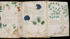 Manuscrisul Voynich: limbă pierdută sau cifru genial?