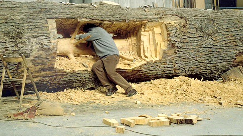 Un artist italian a eliminat inele de creştere ale unui copac şi a dezvăluit o adevărată frumuseţe – FOTO