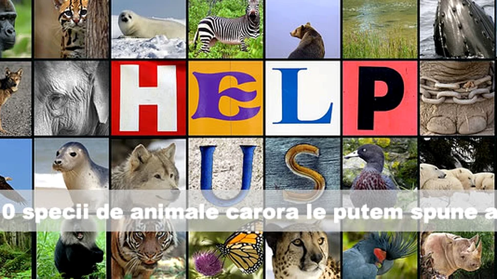 10 specii de animale carora le putem spune adio…
