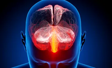 Cercetătorii au identificat regiunea din creier responsabilă de schizofrenie şi Alzheimer