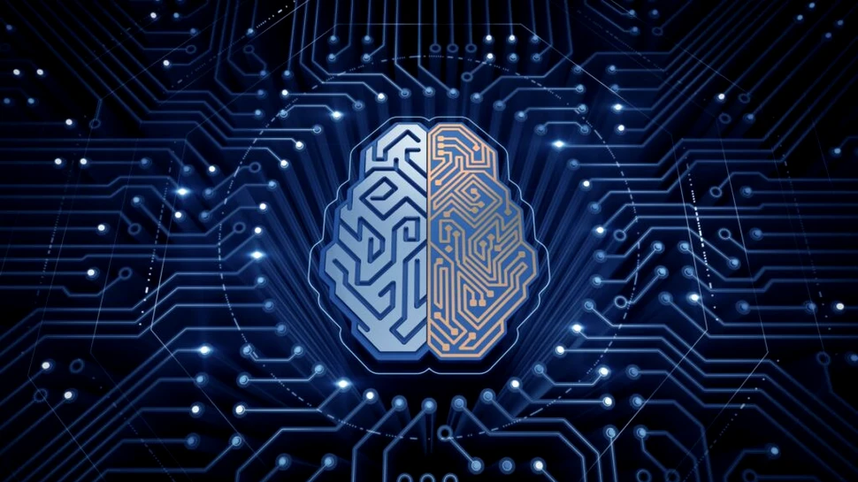 De ce vor oamenii de știință să conecteze creieri umani la computere cuantice?
