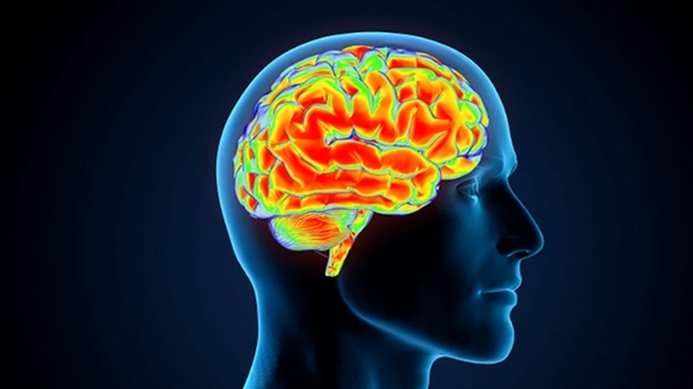 Un medicament poate elimina emoţiile negative asociate amintirilor neplăcute